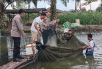 Kapolres Melawi Panen Ikan Bersama Kapolsek Nanga Pinoh