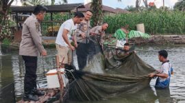 Kapolres Melawi Panen Ikan Bersama Kapolsek Nanga Pinoh