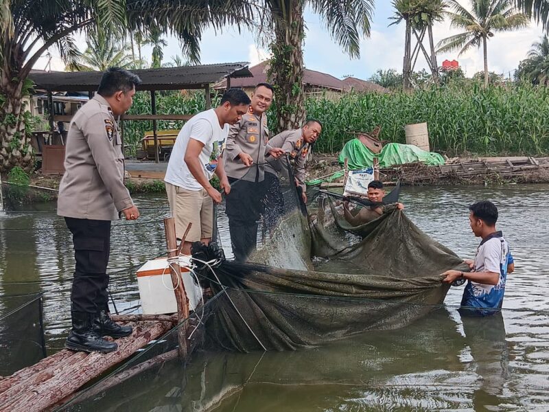 Kapolres Melawi Panen Ikan Bersama Kapolsek Nanga Pinoh