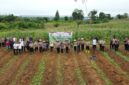 Kapolres Melawi AKBP Harris Batara Simbolon Pimpin Penanaman Jagung 17 Hektare