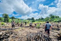 Kapolsek Simpang Dua Pimpin Penanaman Jagung Hibrida, Wujud Sinergitas Dukung Ketahanan Pangan Nasional