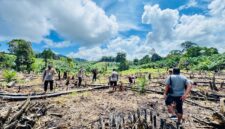 Kapolsek Simpang Dua Pimpin Penanaman Jagung Hibrida, Wujud Sinergitas Dukung Ketahanan Pangan Nasional