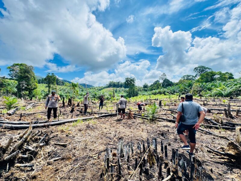 Kapolsek Simpang Dua Pimpin Penanaman Jagung Hibrida, Wujud Sinergitas Dukung Ketahanan Pangan Nasional
