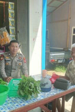 berita-rekomendasi-foto