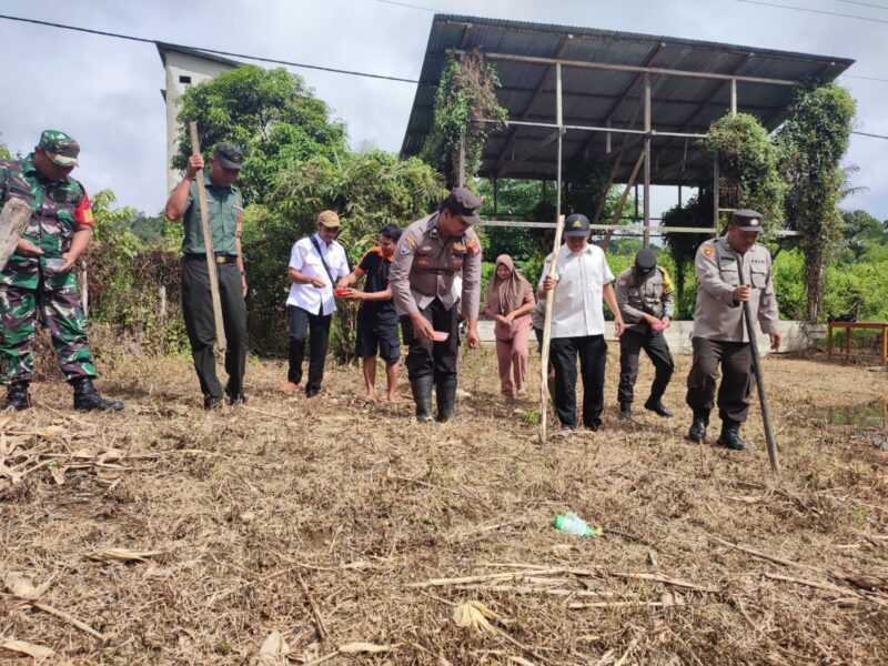 Polsek Sokan Bersama TNI dan Petani Optimalkan Lahan dengan Jagung Hibrida