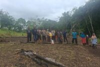 Polsek Nanga Pinoh Optimalkan Lahan 1 Hektare untuk Jagung Hibrida