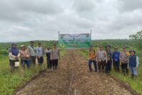 Optimalkan Lahan Perkebunan, Polsek Belimbing Kembangkan Jagung Hibrida