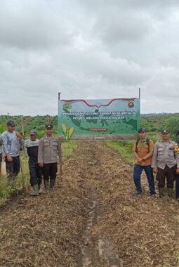 berita-rekomendasi-foto