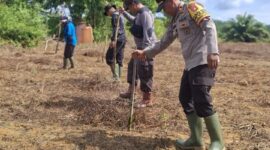 Iptu Selamet Santoso Bersama PT. Mulia Bakti Kahuripan Tanam Jagung Hibrida untuk Ketahanan Pangan