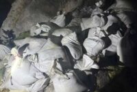 TNI AL dan Kodaeral XII Amankan 81 Karung Material Strategis di Pantai Penyusuk