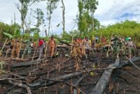 Forkopincam Sungai Laur Bersama Polri dan Kelompok Tani Tanam Jagung Hibrida