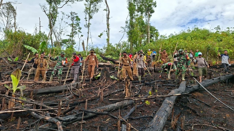 Forkopincam Sungai Laur Bersama Polri dan Kelompok Tani Tanam Jagung Hibrida