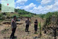 IPTU I Nyoman Artika, S.H. Tinjau Pertumbuhan Jagung Mandiri di Desa Songga