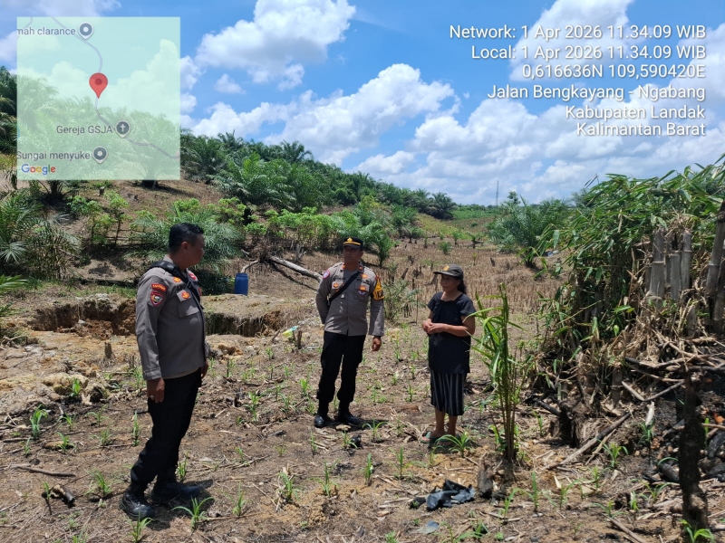 IPTU I Nyoman Artika, S.H. Tinjau Pertumbuhan Jagung Mandiri di Desa Songga
