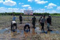 Kapten Inf Sulistiono Hadiri Penanaman Padi di Lahan CSR Selakau