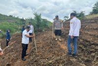 Jagung Hibrida di Lahan 2 Hektare, Upaya Polsek Nanga Pinoh Tingkatkan Produksi