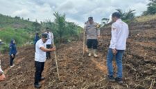 Jagung Hibrida di Lahan 2 Hektare, Upaya Polsek Nanga Pinoh Tingkatkan Produksi