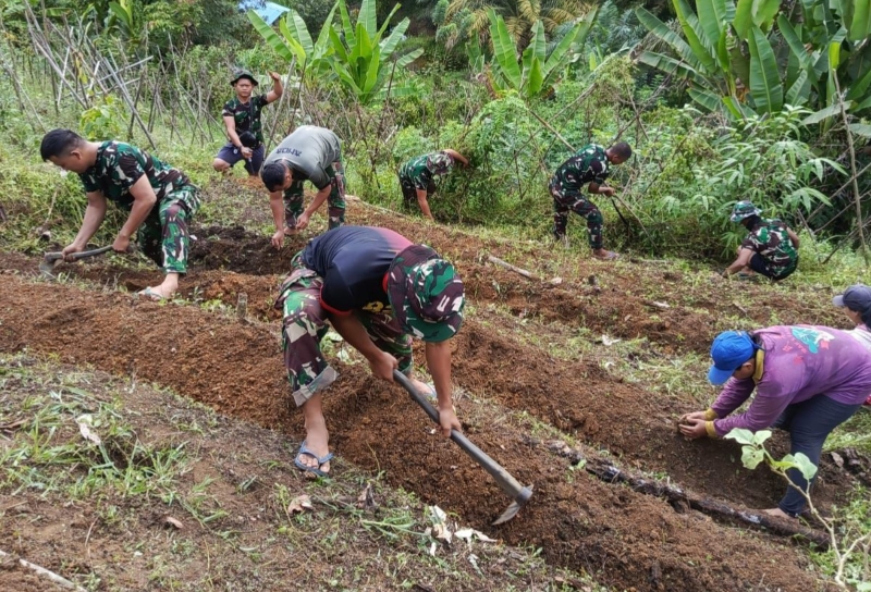 Di Bawah Terik Matahari, Satgas TMMD Ke-128 Kodim 1204/Sanggau Bersama Warga Laksanakan Penanaman Cabai dan Terong di Dusun Onggok