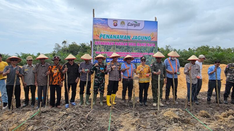 Kapolsek Manis Mata Bersama Forkopimcam Tanam Jagung, Perkuat Kemandirian Pangan Desa