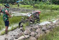 Pembajakan Sawah TMMD Ke-128 Kodim 1204/Sanggau Dipercepat dengan Traktor
