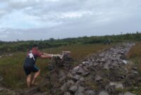 Pembukaan Lahan Sawah Terus Dimaksimalkan, Satgas TMMD Ke-128 Kodim 1204/Sanggau Bersama Warga Laksanakan Pembajakan Menggunakan Traktor