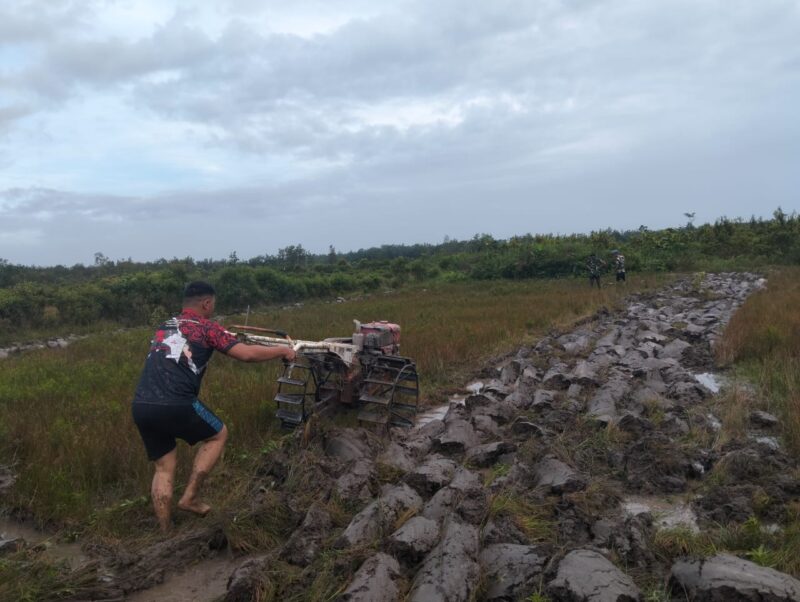 Pembukaan Lahan Sawah Terus Dimaksimalkan, Satgas TMMD Ke-128 Kodim 1204/Sanggau Bersama Warga Laksanakan Pembajakan Menggunakan Traktor