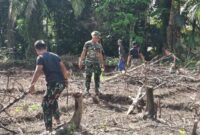 Gotong Royong Bersama Masyarakat, Satgas TMMD Ke-128 Kodim 1204/Sanggau Buka Lahan Jagung di Semayang