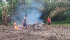 Pembukaan Lahan Jagung TMMD Ke-128 Kodim 1204/Sanggau Capai 70 Persen, Dukung Ketahanan Pangan