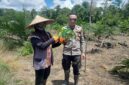 Polsek Sebangki Dukung Ketahanan Pangan, AIPDA Suriansyah Salurkan Bibit Jagung Bisi 18 dan Sayuran kepada KWT Kembang Desa