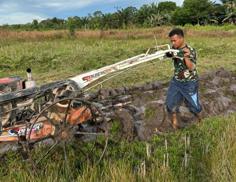 Satgas TMMD Ke-128 Kodim 1204/Sanggau Bantu Warga Bajak Sawah Gunakan Traktor